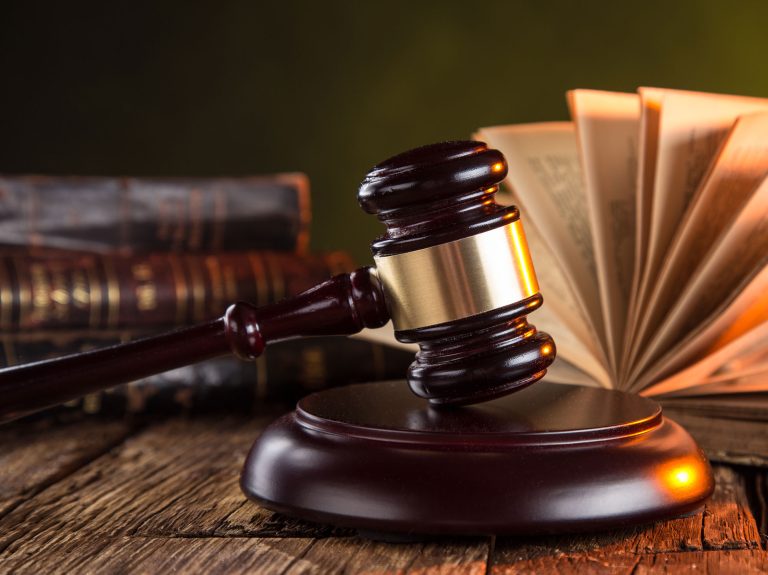 LITIGATIONPROCESSKAMOINGLAW1