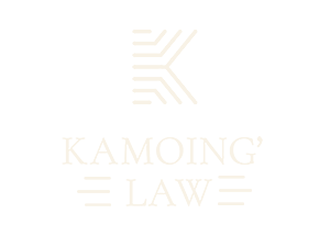 Kamoing—4x